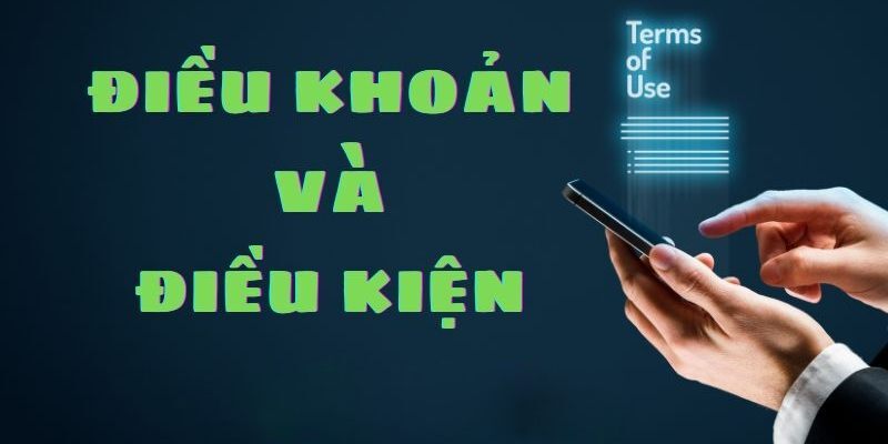 Tuân thủ điều khoản khi giải trí tại New88