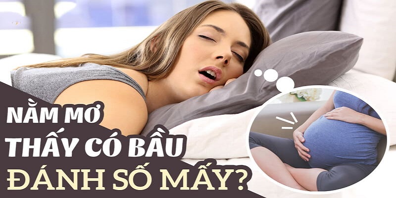 Mơ có bầu ẩn chứa nhiều con số đẹp liên quan